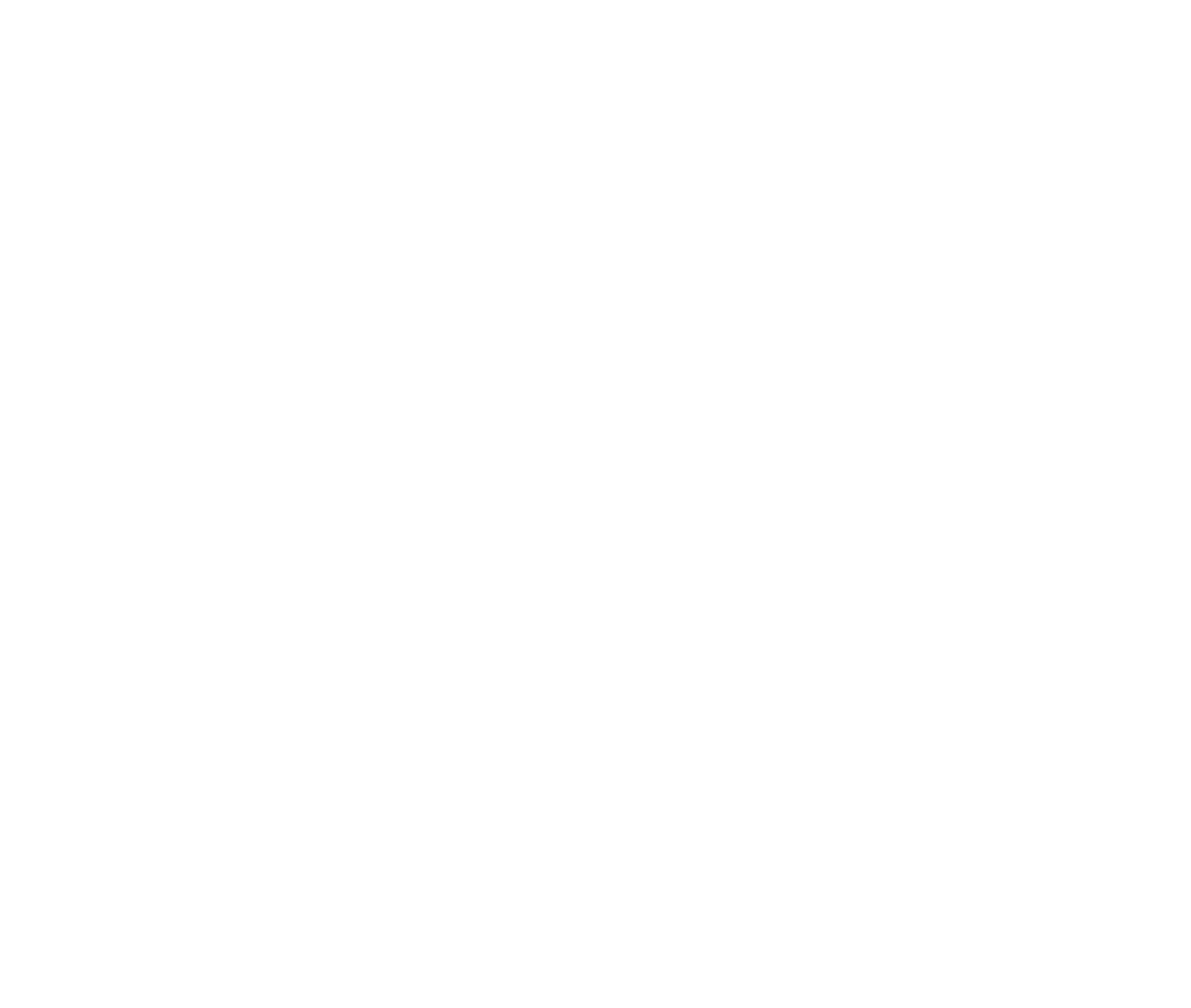 logo_transparent_original_-_blanc.png