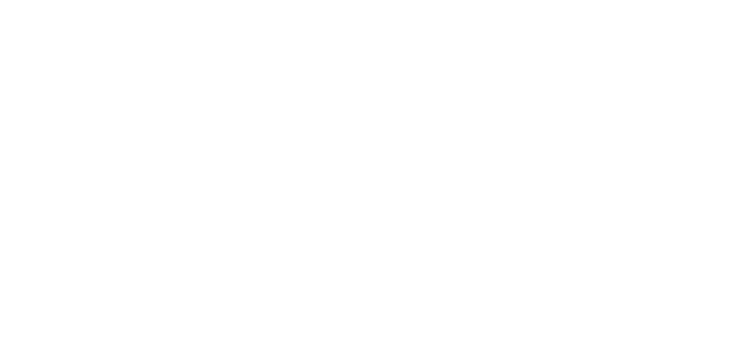 spedidam.png